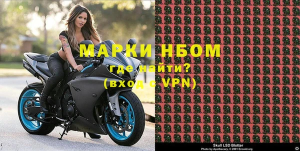 стаф Белоозёрский