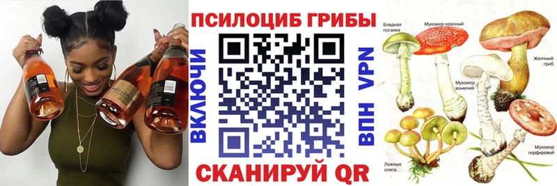 Псилоцибиновые грибы GOLDEN TEACHER  Бугульма 