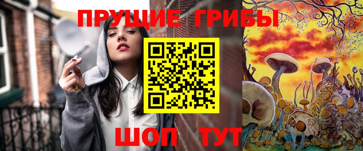 Псилоцибиновые грибы мицелий  Вход с VPN  Бугульма 