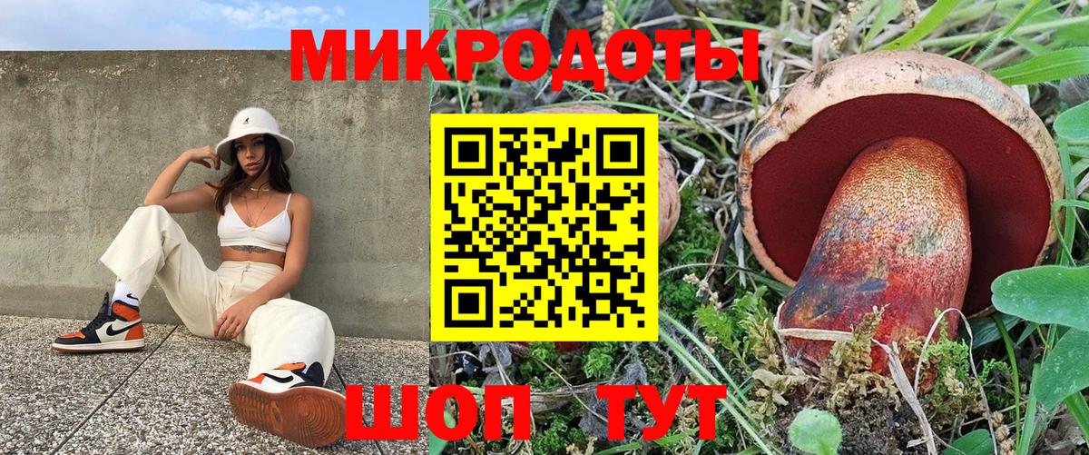 Псилоцибиновые грибы мухоморы Бугульма